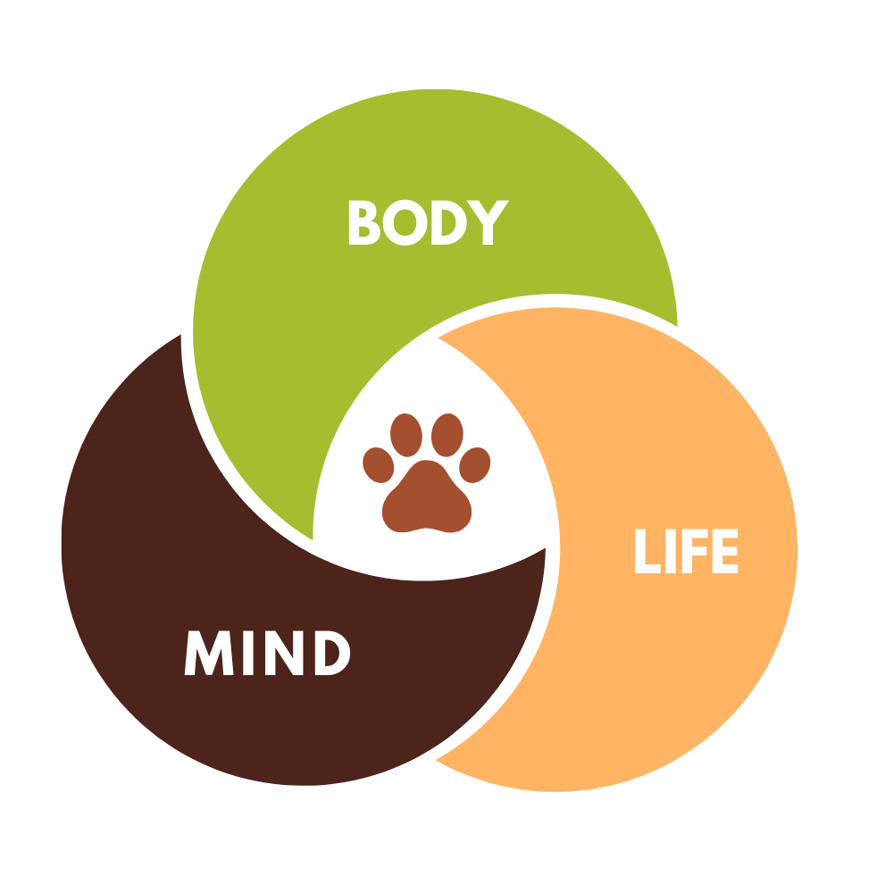 osteopathie animale holistique